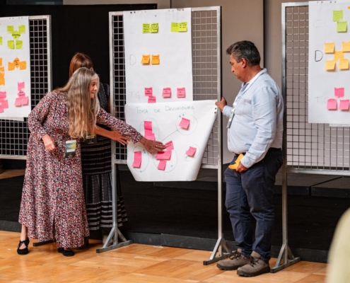 Citizen Forum La Palma_3