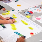 Citizen Forum La Palma_5