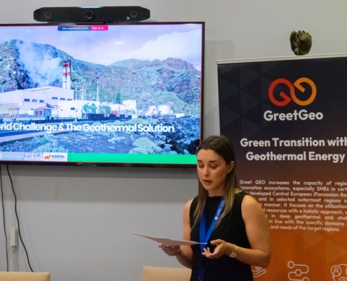 Greet GEO Canarian Networking Event (2)